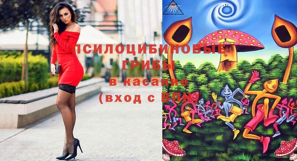 гидропоника Бронницы